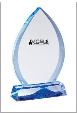 Trophée Verre Personnalisé 173-31-LO