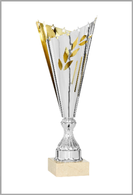 Coupe Laser Métal : 3521