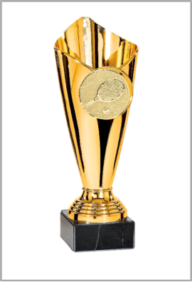 picture_320021_344355