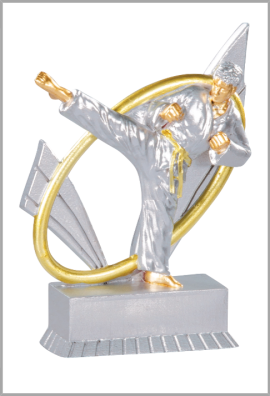 Trophée Karaté 31419