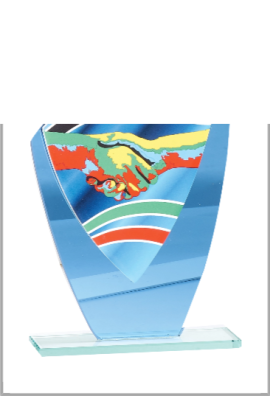 Trophée Verre Amitié 66221