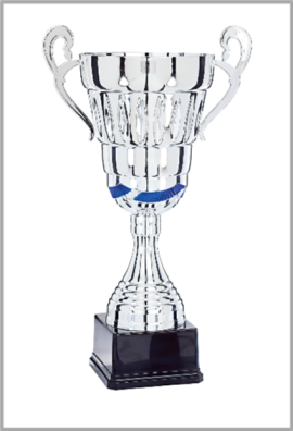 Coupe Prestige Métal : 6981