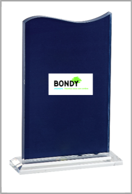 Trophée Acryglass Personnalisé 157-41-LO