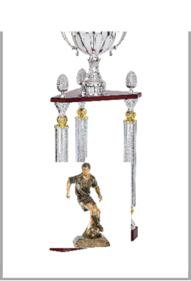 Trophée Personnalisé Figurine 147-61-RM