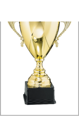 Coupe Prestige Métal : 6531