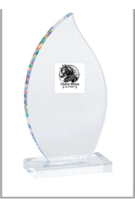 Trophée Acryglass Personnalisé 157-01-LO