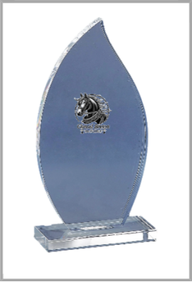 Trophée Acryglass Personnalisé 174-11-LO