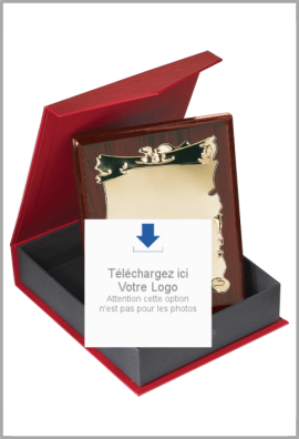 Plaque de distinction : 187-11-LO