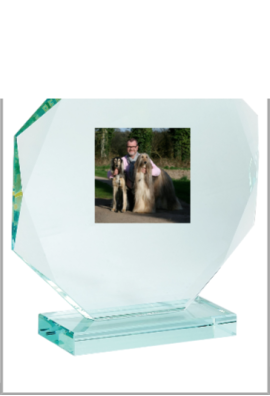 Trophée Verre Personnalisé 154-81-LO