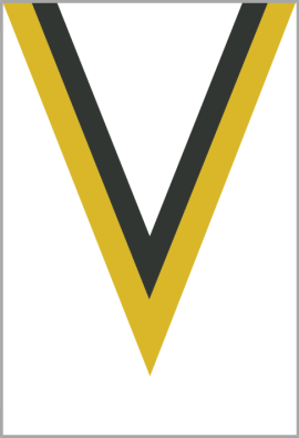 Ruban Médaille  Jaune/Noir : 6034