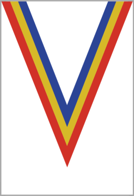 Ruban Médaille  Rouge/Jaune/Bleu : 6057