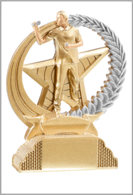 Trophée Fléchettes & Dart 31342
