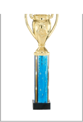 Trophée Football 84-31