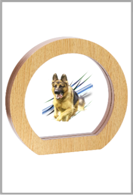 Trophée Acryglass & Bois Personnalisé 150-01-SU