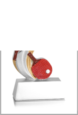 Trophée Tennis de table 31909