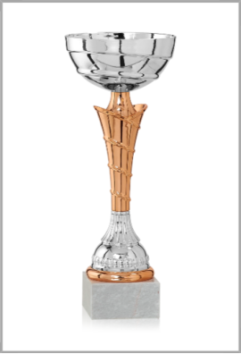 Coupe Économique Métal : 1901