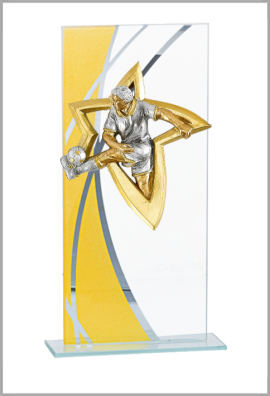 Trophée Verre Personnalisé 130-61-NJ