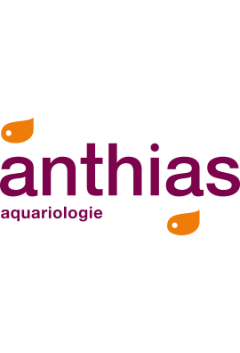 logo_4_345772