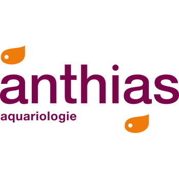 logo_4_345772