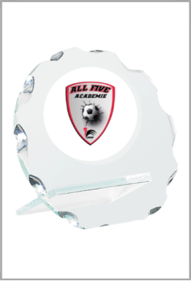Trophée Personnalisé Votre Logo 135-21-LO