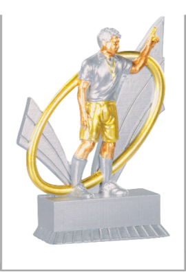 Trophée Arbitre 31401