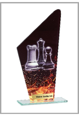 Trophée Échecs 66108