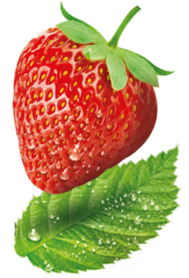 logo_4_345952