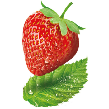 logo_4_345952