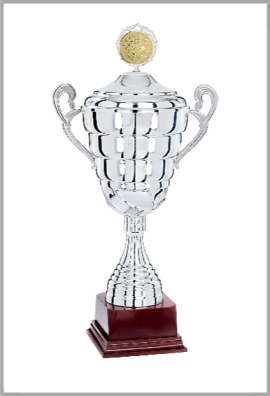 Coupe Personnalisée Métal : 7101W-C