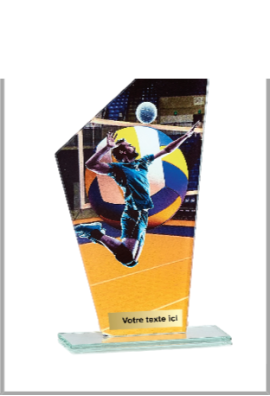 Trophée Volley-ball 66119