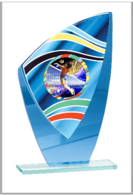 Trophée Verre Personnalisé 66213-C