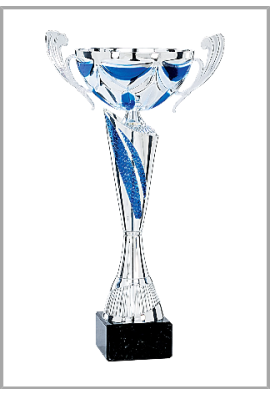 Coupe Classique Métal : 4381