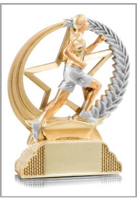 Trophée Course à pied 31309