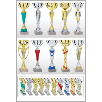 picture_320008_346456