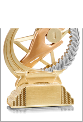 Trophée Palet 31326