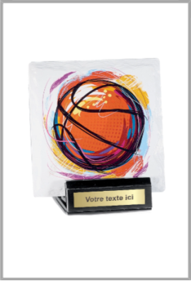 Trophée Basket 45101