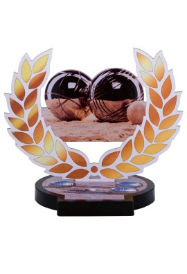 trophees 56508