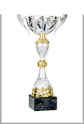Coupe Classique Métal : 4831