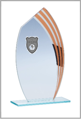 Trophée Verre Personnalisé 162-21-LO