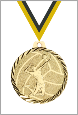 Médaille Ø 50 mm Volley-ball  - NZ24