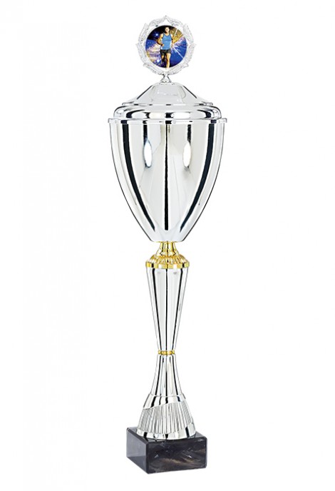 Coupe Personnalisée Métal : 4221W-C