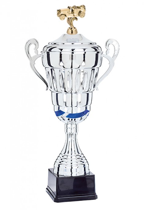 Coupe Personnalisée Métal : 6981W-D