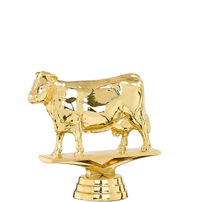 Trophée Personnalisé Figurine 148-93-D