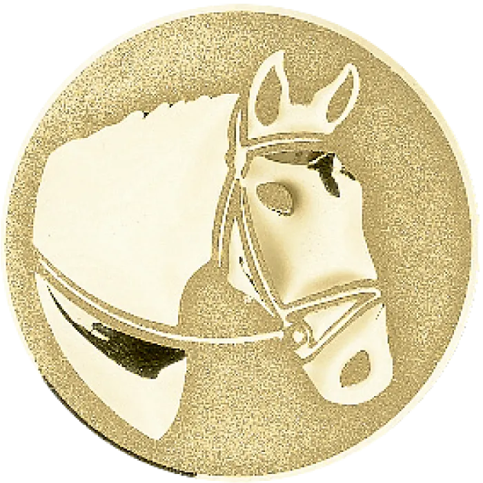 Trophée Personnalisé Médaillon 45108-C