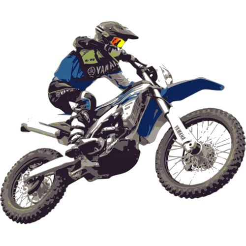 Trophée Bois Personnalisé  : BW31-SU