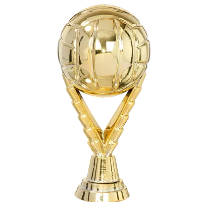 Trophée Personnalisé Figurine 143-71-D